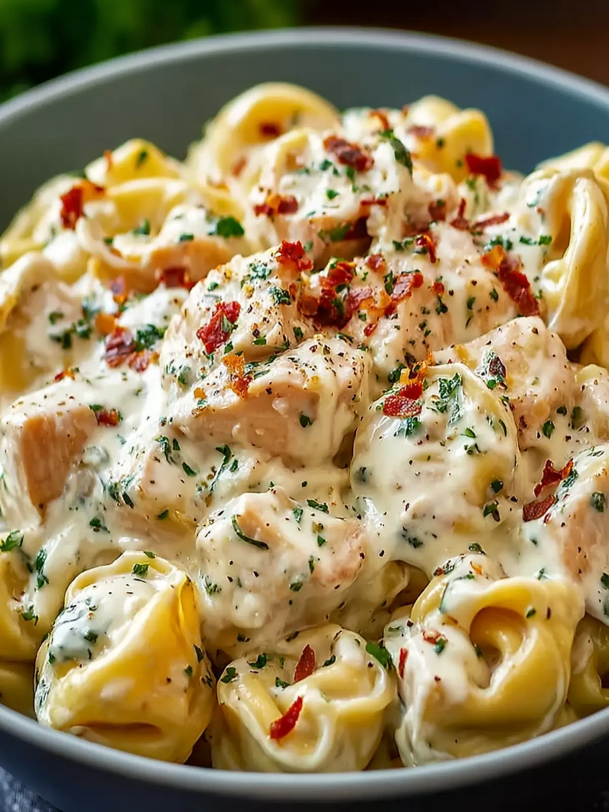 Creamy Crockpot Chicken Alfredo Tortellini First Image