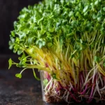 How to Grow Microgreens First Image